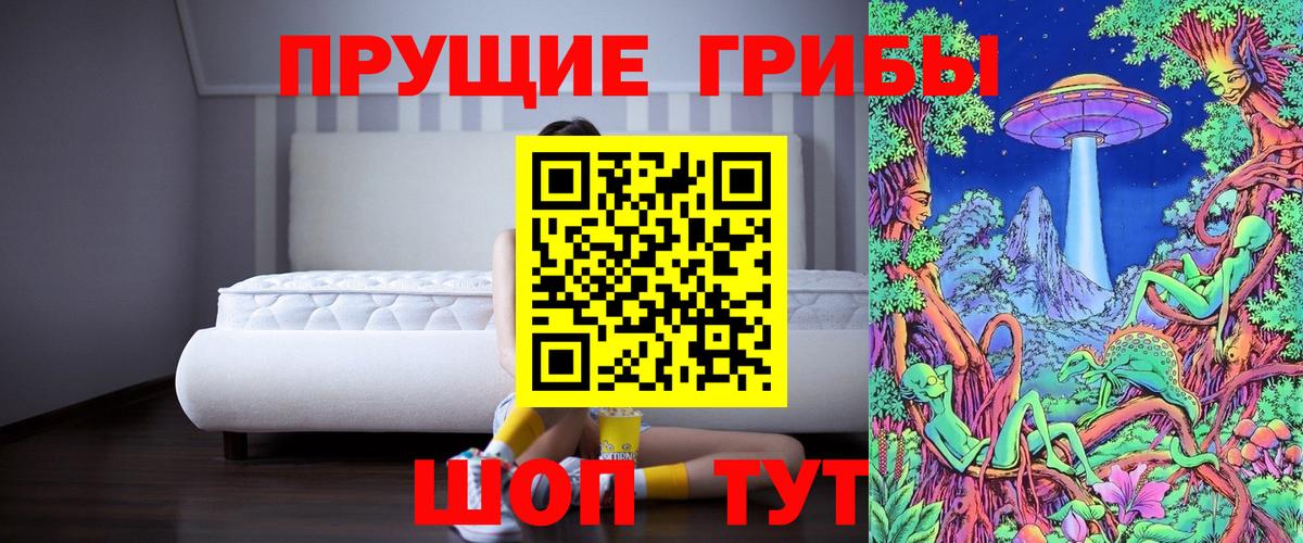 Псилоцибиновые грибы ЛСД Пенза